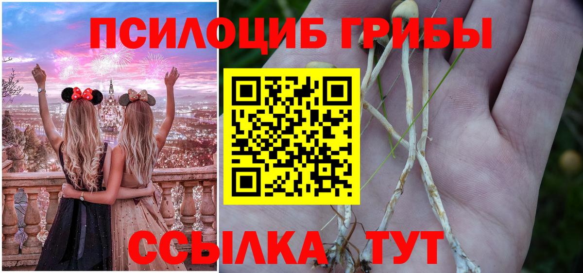 Галлюциногенные грибы ЛСД Татарск