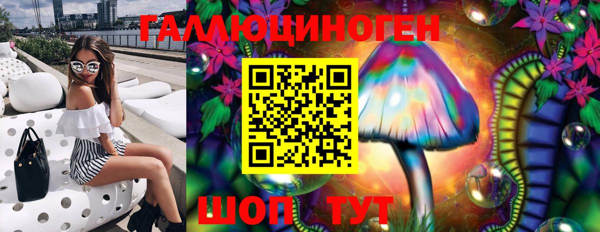 Галлюциногенные грибы Psilocybine cubensis  Псилоцибиновые грибы мухоморы  что такое наркотик  Вход с VPN  Татарск 